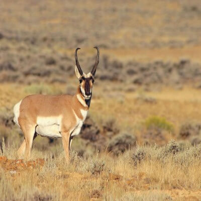 Eden Valley, WY | Things to Do | Sweetwater County, Wyoming